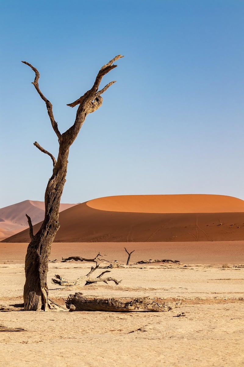 Desert Survival Challenge